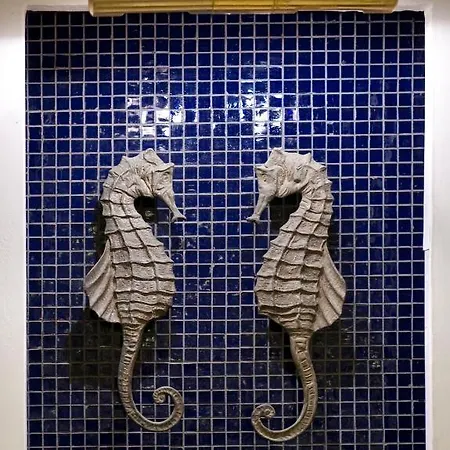 Hotel Rex - Fronte Mare Riccione